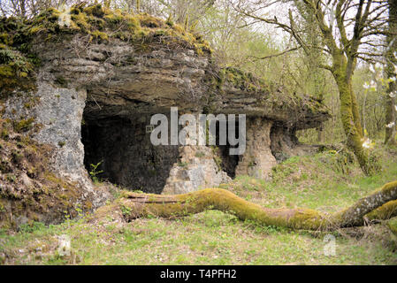 Infantry shelter DV1, between Fort de Douaumont and Fort de Vaux, Verdun, France Stock Photo