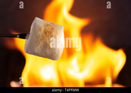 Toasting Marshmallows over a Campfire on a Metal Skewer Stock Photo