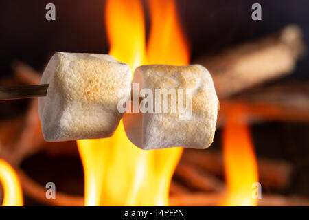 Toasting Marshmallows over a Campfire in a Wooden Stewer Stock Photo
