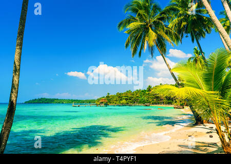 Tropical beach with crystal clear sea water, scenery palm tree on background amazing lagoon and blue sky. Asia, Thailand Stock Photo