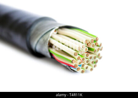 Stranded copper conductors control cable vinyl insulated and metal armor isolated on white background Stock Photo