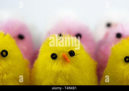 Close up images of toy chicks against a white background Stock Photo