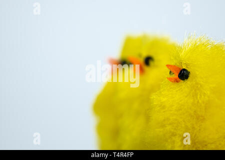 Close up images of toy chicks against a white background Stock Photo