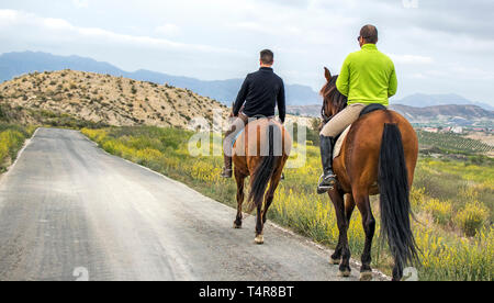 Murcia, Spain, April 18, 2019: Rear view of two men Riding Horses Along a Road in the mountain. Farmer riding horse at mountain roads. Stock Photo