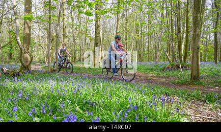 Brighton, UK. 18th Apr, 2019. The Meeker family enjoy a cycle ride on a warm sunny day through Stanmer Park in Brighton which is carpeted in bluebells as the weather is forecast to be warm and sunny over the Easter weekend with temperatures expected to reach over twenty degrees in some parts of the South East Credit: Simon Dack/Alamy Live News