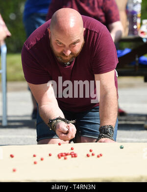Crawley Sussex, UK. 19th Apr, 2019. Action in the hot sunny weather at the World Marbles Championship held at The Greyhound pub at Tinsley Green near Crawley in Sussex . The annual event has been held on Good Friday every year since the 1930s and is open to players from around the world Credit: Simon Dack/Alamy Live News Stock Photo