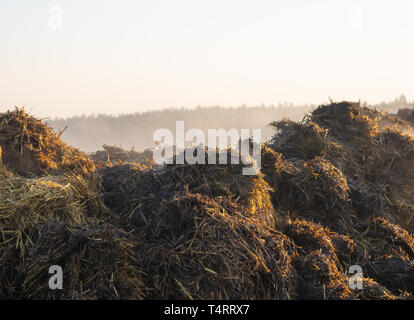 smoking heap of manure on a field Stock Photo