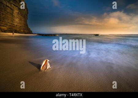 sea, summer, holidays and vacations - sea snail on the sand. Summer beach, waves background with long exposure technique Stock Photo