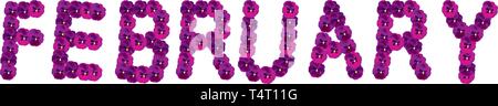 pansy flowers Stock Vector