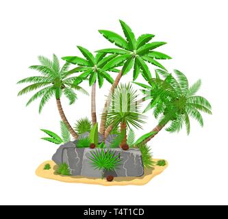 Tropical green palm and stones. Jungle leaves. Coconut palm, monstera, fan palm, rhapis. Natural leaf, exotic branches tree. Vector illustration in fl Stock Vector
