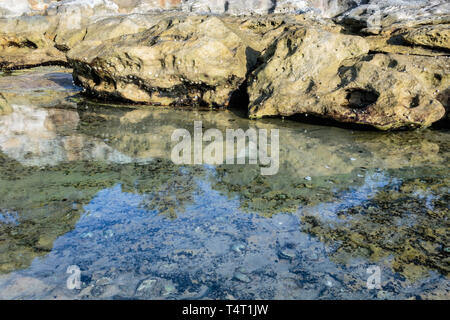 Rocks reflected in a rock pool on the shore at Nielsen Park, Sydney Harbour National Park, Sydney, Australia during a morning of April 2019 Stock Photo
