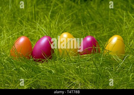 Colorful Easter eggs in the grass Stock Photo