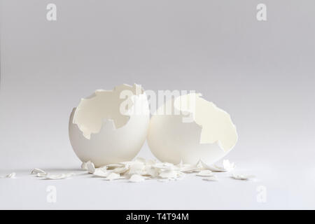 White eggshells on white background Stock Photo