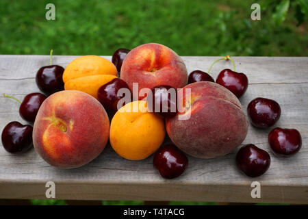 Summer fruits cherry apricot peach on wooden table green grass background healthy food stone fruit tasty juicy in Otago New Zealand Stock Photo