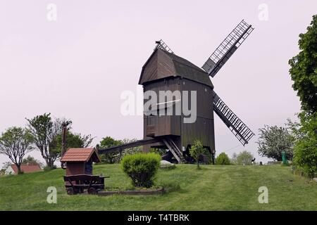 BockwindmÃ¼hle Inselstadt, Werder an der Havel, Potsdam Mittelmark, Brandenburg, Germany, Europe Stock Photo