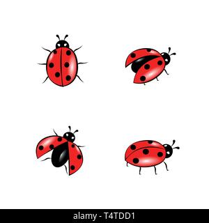 set of red ladybug isolated on white vector illustration EPS10 Stock Vector