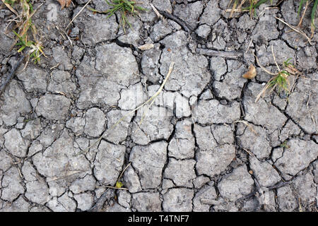 Dry cracked ground surface during a draught Stock Photo
