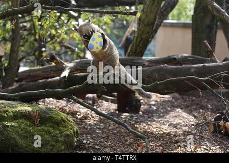 Easter treats at ZSL London Zoo 2019 Stock Photo