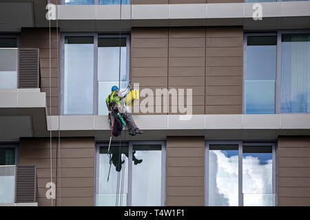 Worker using rope to clean a high apartment building, steeplejack works. Mountain climber washes windows. Stock Photo