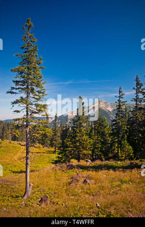 Hiking in the Raxalpe, Lower Austria Stock Photo