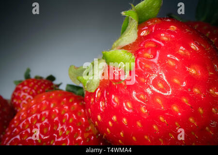 Macro shot of red juicy strawberry on black background. Sweet harvested berry background, healthy food lifestyle Stock Photo