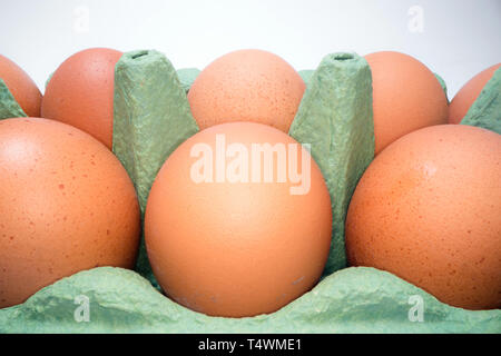 Two rows of brown eggs in cardboard box on white background. Chicken eggs in basket for sale Stock Photo