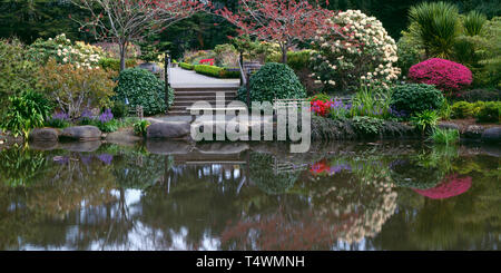 USA, Oregon, Shore Acres State Park, Formal garden reflects in pond. Stock Photo