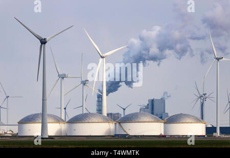 Eemshaven Energy Park, various power plants and the Westereems and Growind wind farms, a total of over 80 wind turbines, RWE Eemshaven coal-fired powe Stock Photo