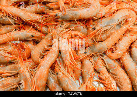 Background of fresh pink prawns in local Athens fish market, Greece Stock Photo
