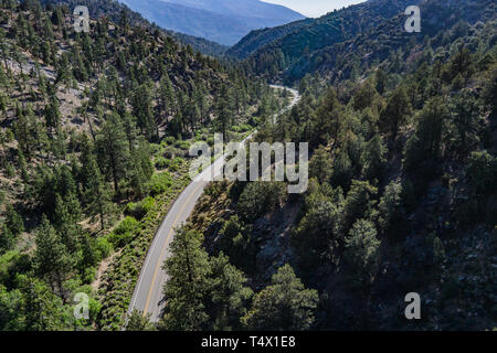 Road bends through a mountain canyon in a southern California forest. Stock Photo