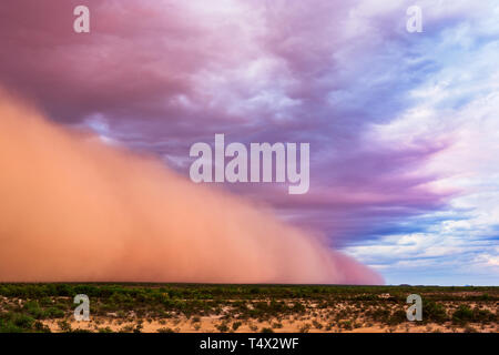 A Haboob dust storm at sunset near Gila Bend, Arizona, USA Stock Photo