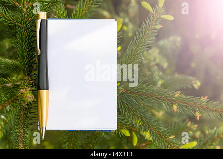 Notepad and black and gold pen on the background of a coniferous fir tree. The concept of working and studying in the park in nature. Sun flare in the Stock Photo