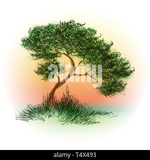 Tree drawn in color pen sketch style. Vector illustration. Stock Vector