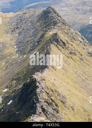 Striding Edge in the North West Lake District in Cumbria, England, UK: A popular route linking the summit ridge of Birkhouse Moor to Helvellyn summit Stock Photo