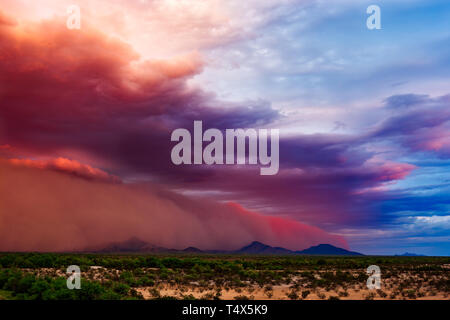 Dust storm (Haboob) moving across the desert near Gila Bend, Arizona, USA Stock Photo