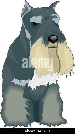 Scottish Terrier Vector Illustration Stock Vector