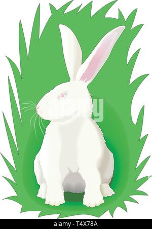 Rabbit in Grass Vector Illustration Stock Vector