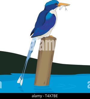 Paradise Kingfisher Perched on a Piling Eating a Fish Vector Illustration Stock Vector