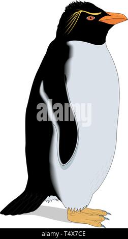 Rockhopper Penguin Vector Illustration Stock Vector