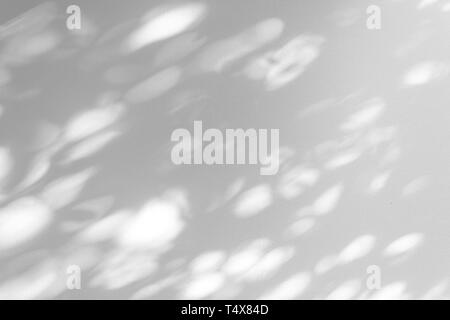 Shadow blur of the leaves on white wall abstract background. Stock Photo