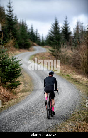 A man cycle touring along a gravel track at Grizedale Forest in the Lake District, England, Gravel bike, Cycle touring. Stock Photo