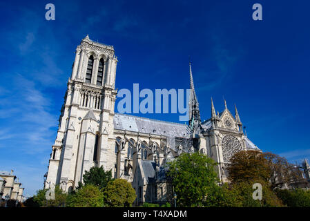 Notre Dame Cathedral, Paris, France Stock Photo