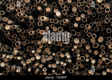Pile of bamboo pole. Stack of round timber logs. Large batch of wooden logs for industrial scale or manufacturing. Warehouse of material for furniture Stock Photo