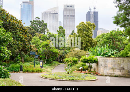 The Royal Botanic Garden covers 74 acres at Farm Cove, adjacent to the central business district of Sydney, New South Wales, Australia. Stock Photo