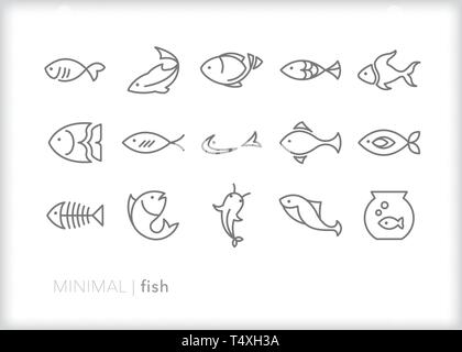 Set of 15 fish line icons of different shapes of freshwater and ocean fish animals Stock Vector