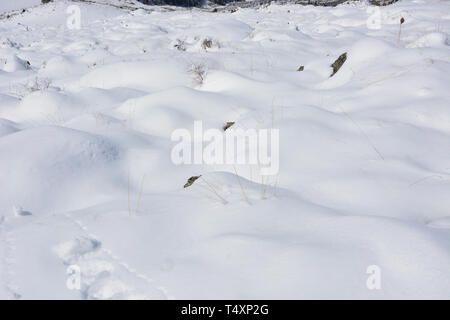 Snowy hills texture. Winter beauty backdrop. Snowdrift background. Stock Photo
