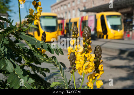 Mulhouse, Tramway, Gare Centrale Stock Photo