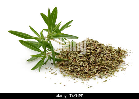 Fresh thyme and dried thyme isolated on white background Stock Photo