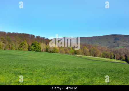 Beautiful meadows and hills scene with blue sky in historical city called Auerbach in Odenwald forest in Germany Stock Photo