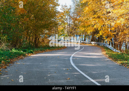 yellowed and reddened leaves of trees, the road in the autumn forest Stock Photo